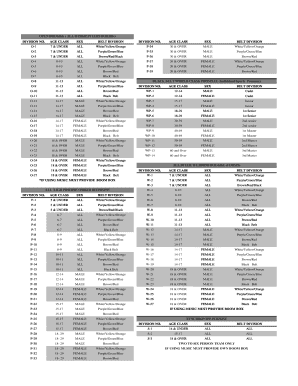 Taekwondo Poomsae and Sparring Divisions Form