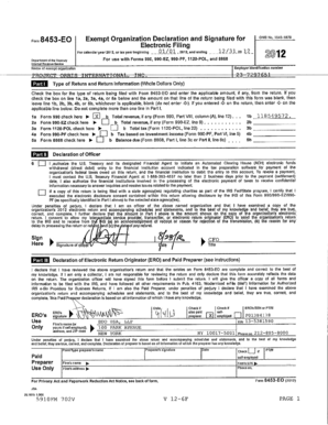 IRS Form 8453-FO Exempt Organization Declaration