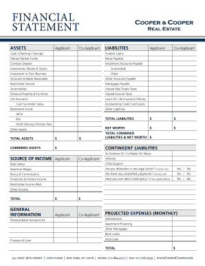 Personal Financial Statement Form