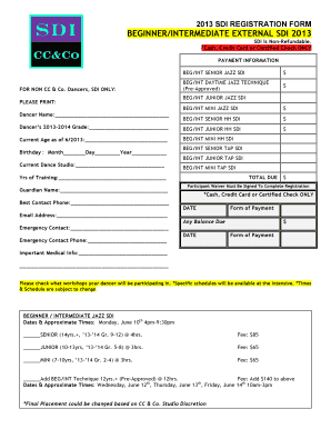 2013 EXTERNAL INTERMEDIATE (Fusion) SDI Reg - CC & Co ...