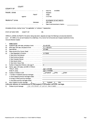 New York Statement of Net Worth