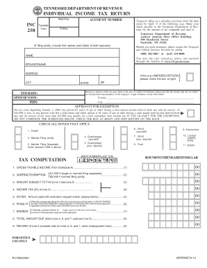Tennessee Individual Income Tax Return
