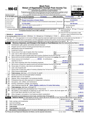 Form 990-EZ Tax Return