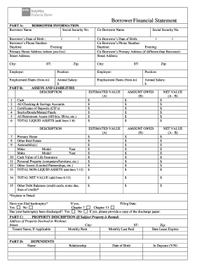 Borrower Financial Statement