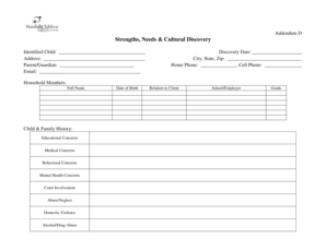 Addendum D Strengths Needs Cultural Discovery Form