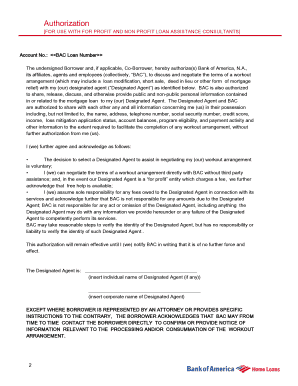 Bank of America Loan Workout Authorization Form