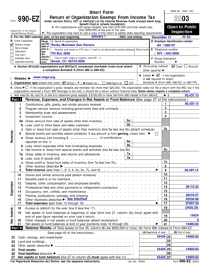 Form 990-EZ 2003