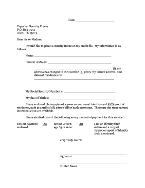 Experian Security Freeze Request