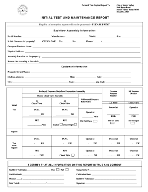 Form preview picture