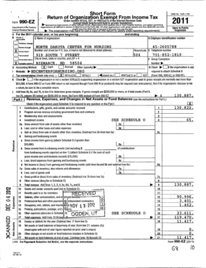 Form 990-EZ Tax Return