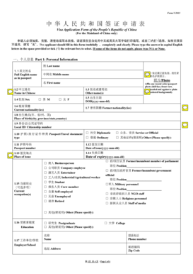 China Visa Application Form