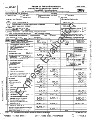 Form 990-PF 2009