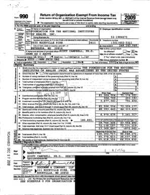 IRS Form 990 2009
