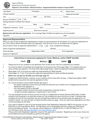 Illinois SNAP Application