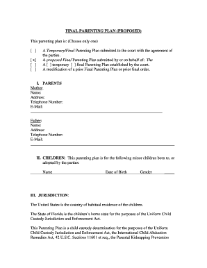 Final Parenting Plan Proposal