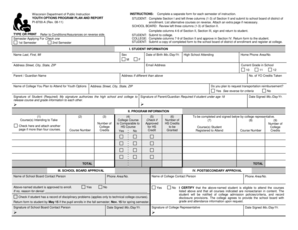 Wisconsin Youth Options Program Plan and Report