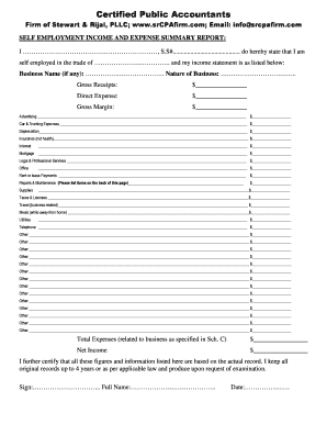 Self Employment Income and Expense Summary Report