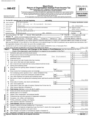 Form 990-EZ Tax Return