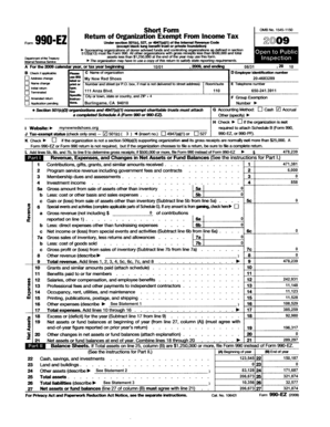 Form 990-EZ Tax Return