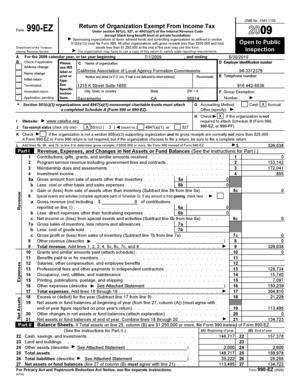 Form 990-EZ Tax Return for Exempt Organizations