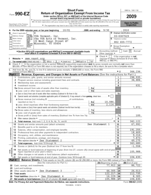 Form 990-EZ Tax Return