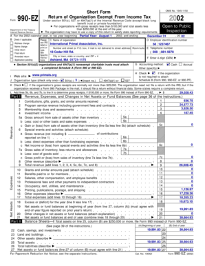 Form 990-EZ 2002