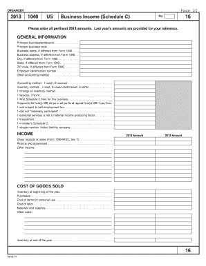 2013 US Business Income Schedule C
