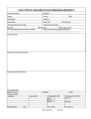 Vocational Rehabilitation Progress Report