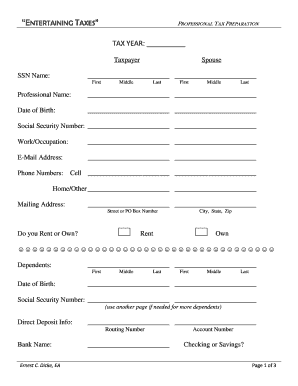 Entertaining Taxes Professional Tax Preparation Form