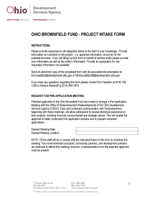 project reports format