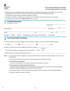 Court-Ordered Division of Assets Form