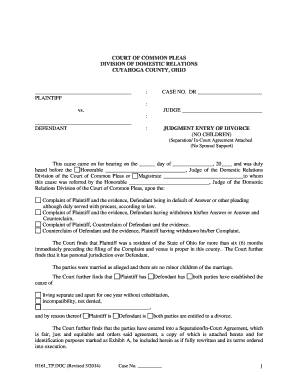 Divorce Judgment Entry Form