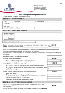 Self-Employed Earnings Information Form