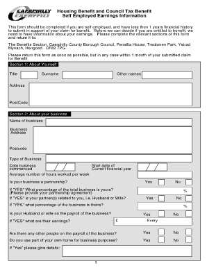 Self Employed Earnings Information Form