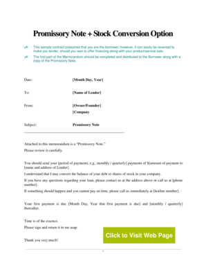 Promissory Note with Stock Conversion Option