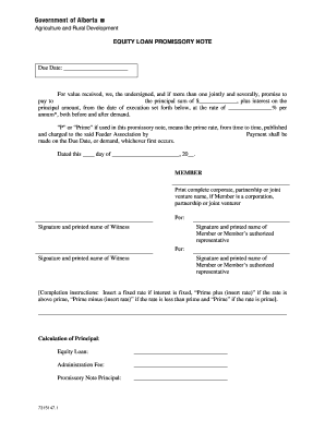 Equity Loan Promissory Note