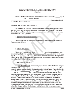 Commercial Lease Agreement (Triple Net)