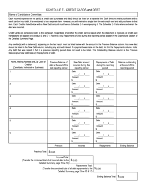 Schedule E - Credit Cards and Debt