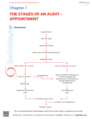 THE STAGES OF AN AUDIT