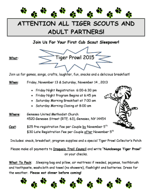 ADULT PARTNERS