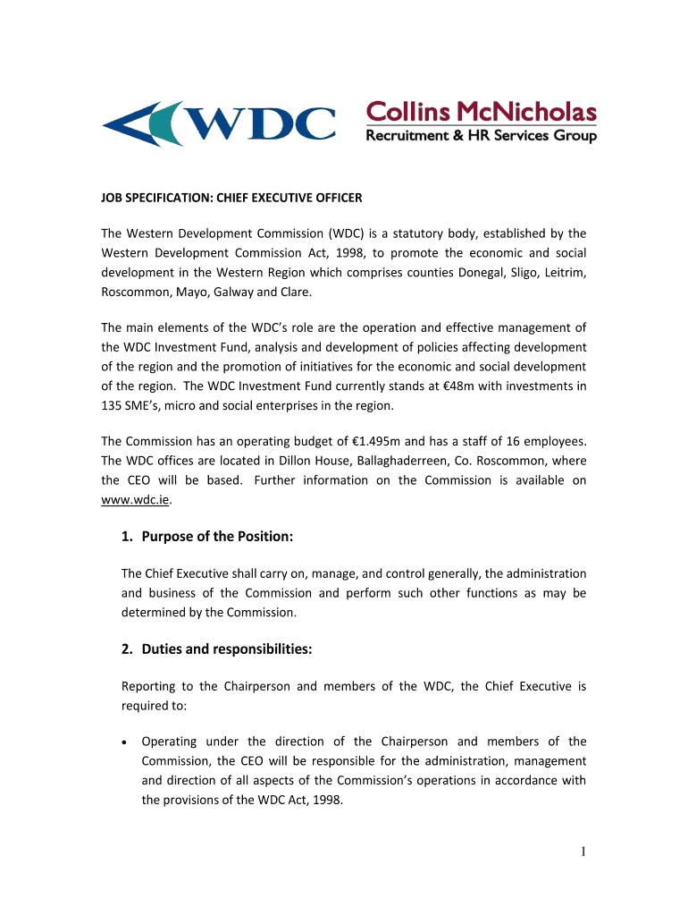 Fillable Online Roles And Responsibilities Of Chief Executive Officer