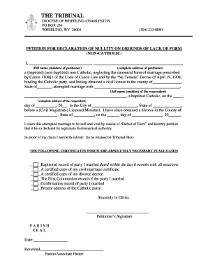 PETITION FOR DECLARATION OF NULLITY ON GROUNDS OF LACK OF FORM
