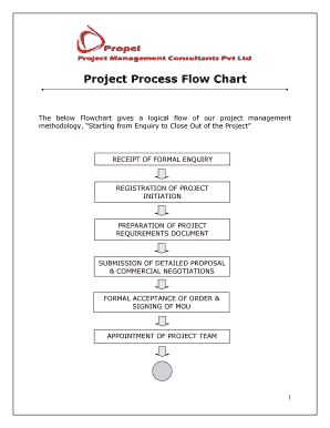 Project Process Flow Chart