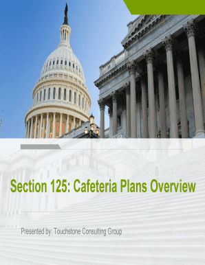 Fillable Online Section 125: Cafeteria Plans Overview Fax Email Print ...