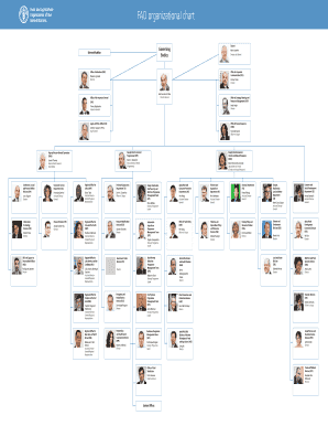 FAO organizational chart