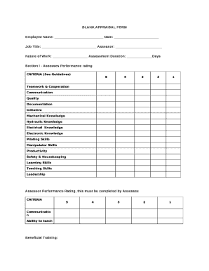 BLANK APPRAISAL FORM