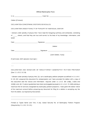 Official Bankruptcy Form