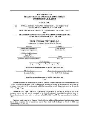 For the fiscal year ended December 31, 1999Commission File Number:1-12872