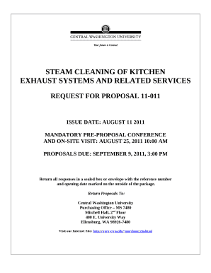 STEAM CLEANING OF KITCHEN