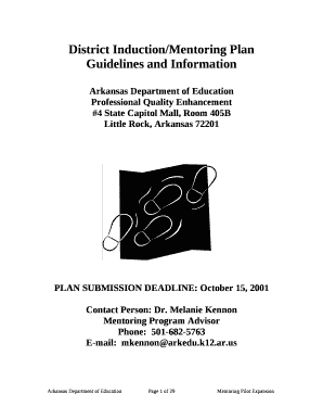 District Induction/Mentoring Plan